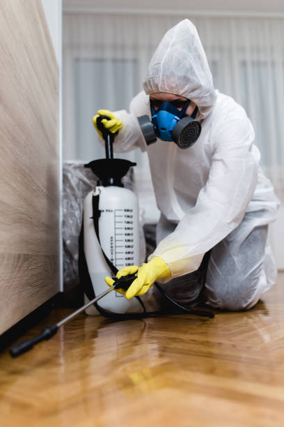 Best Pest Exclusion Services  in Nedrow, NY